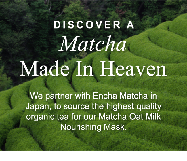 DISCOVER A Matcha Made In Heaven - We partner with Encha Matcha in Japan, to source the highest quality organic tea for our Matcha Oat Milk Nourishing Mask.
