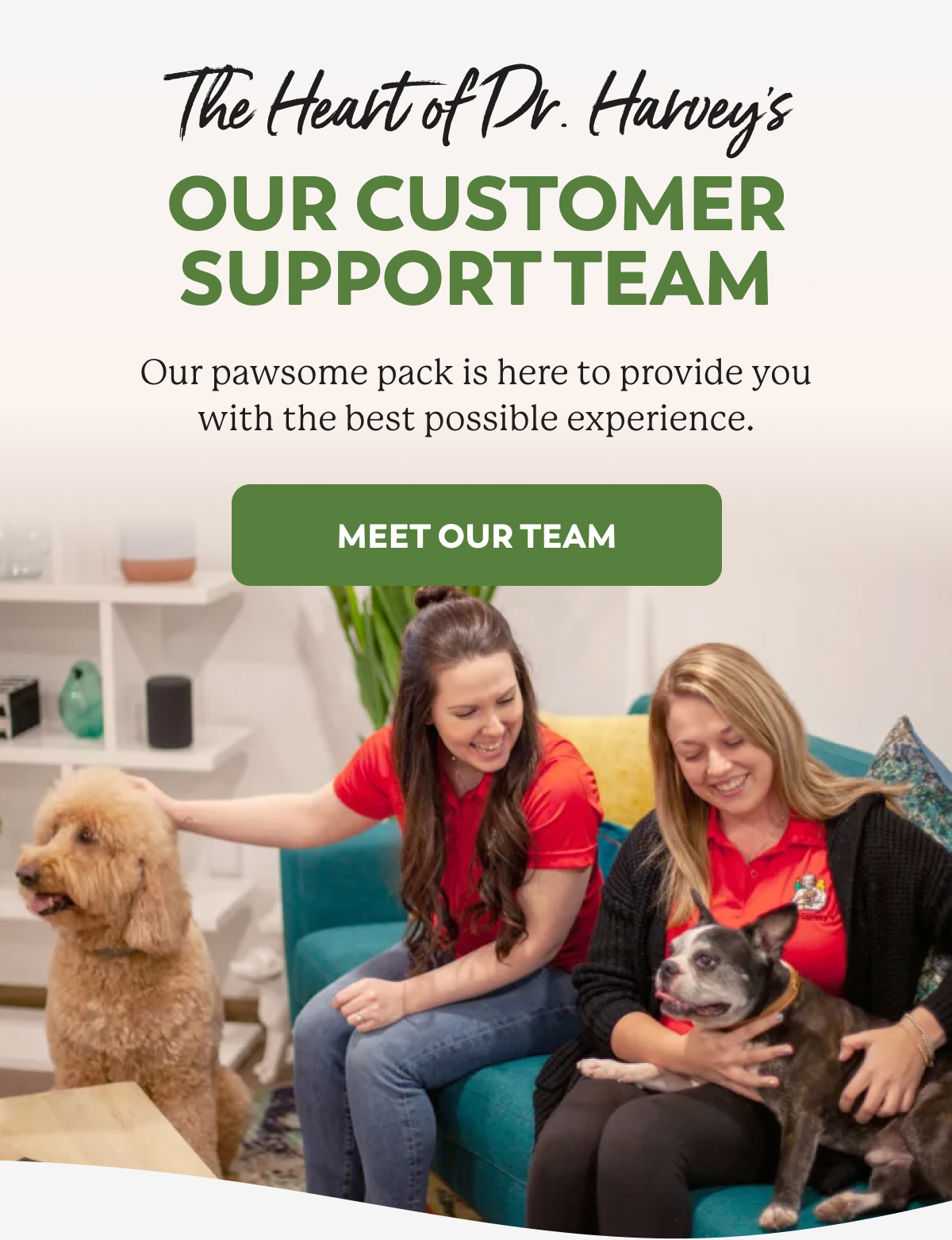 Meet our dedicated customer service team! Dr. Harveys