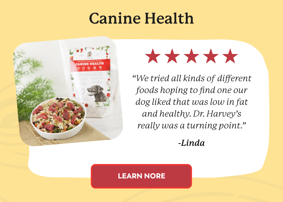 Behind the scenes 🎬 Dr. Harveys