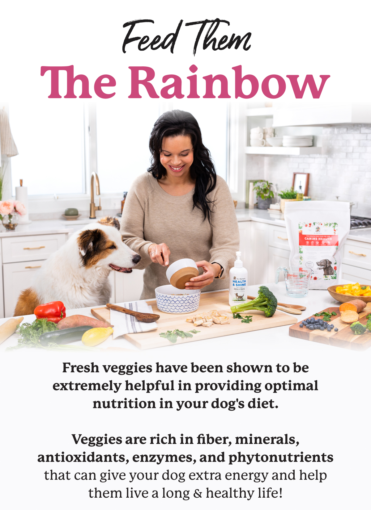 The best veggies to feed your fur baby Dr. Harveys