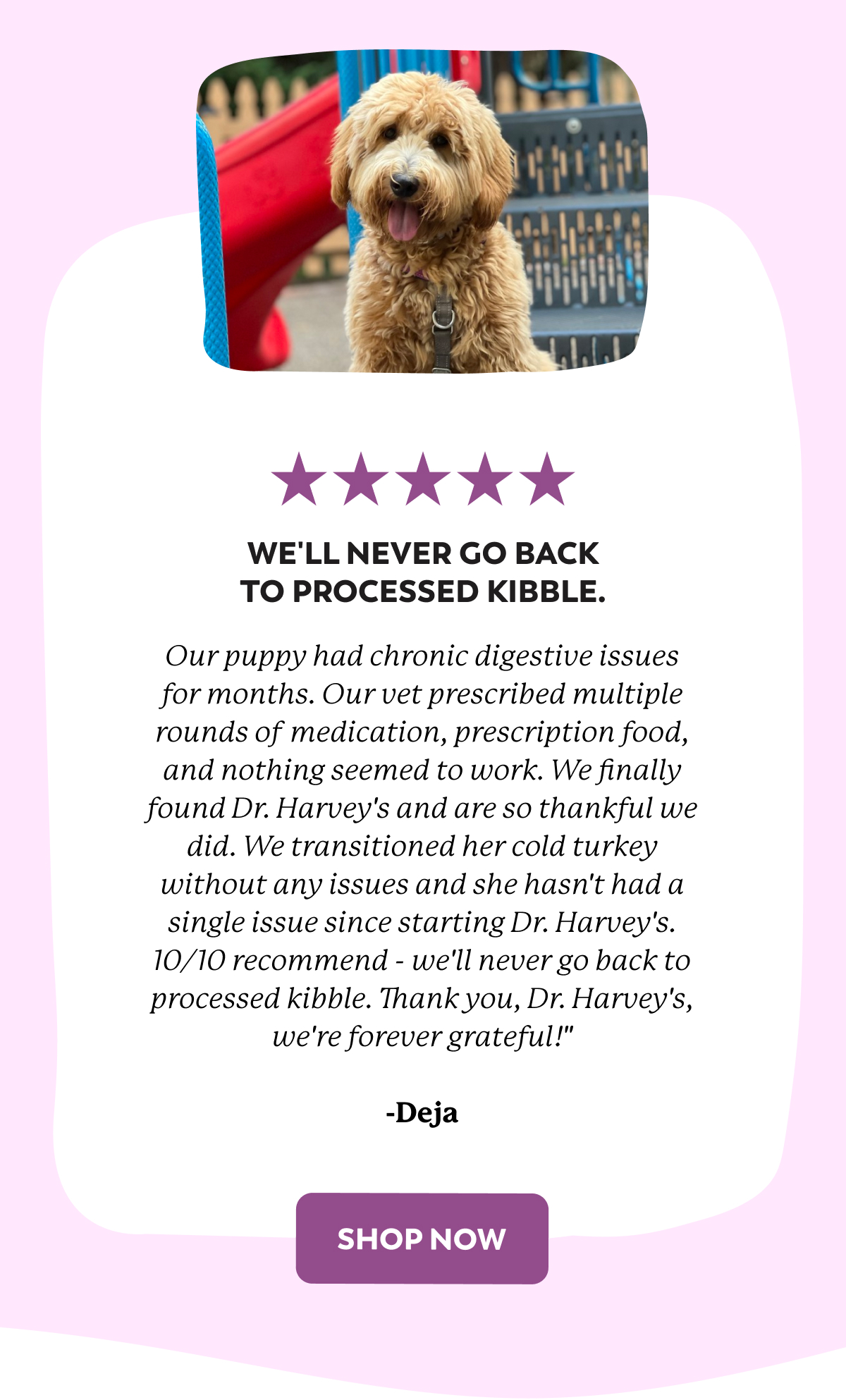 It’s National Puppy Day! 🐕 Dr. Harveys