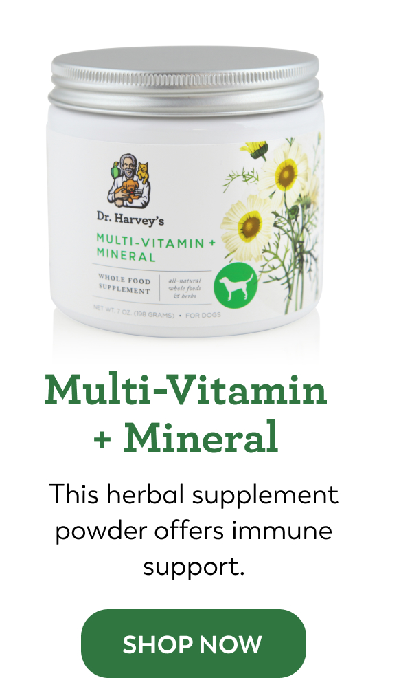 Discover The Benefits Of Real Food Dr. Harveys