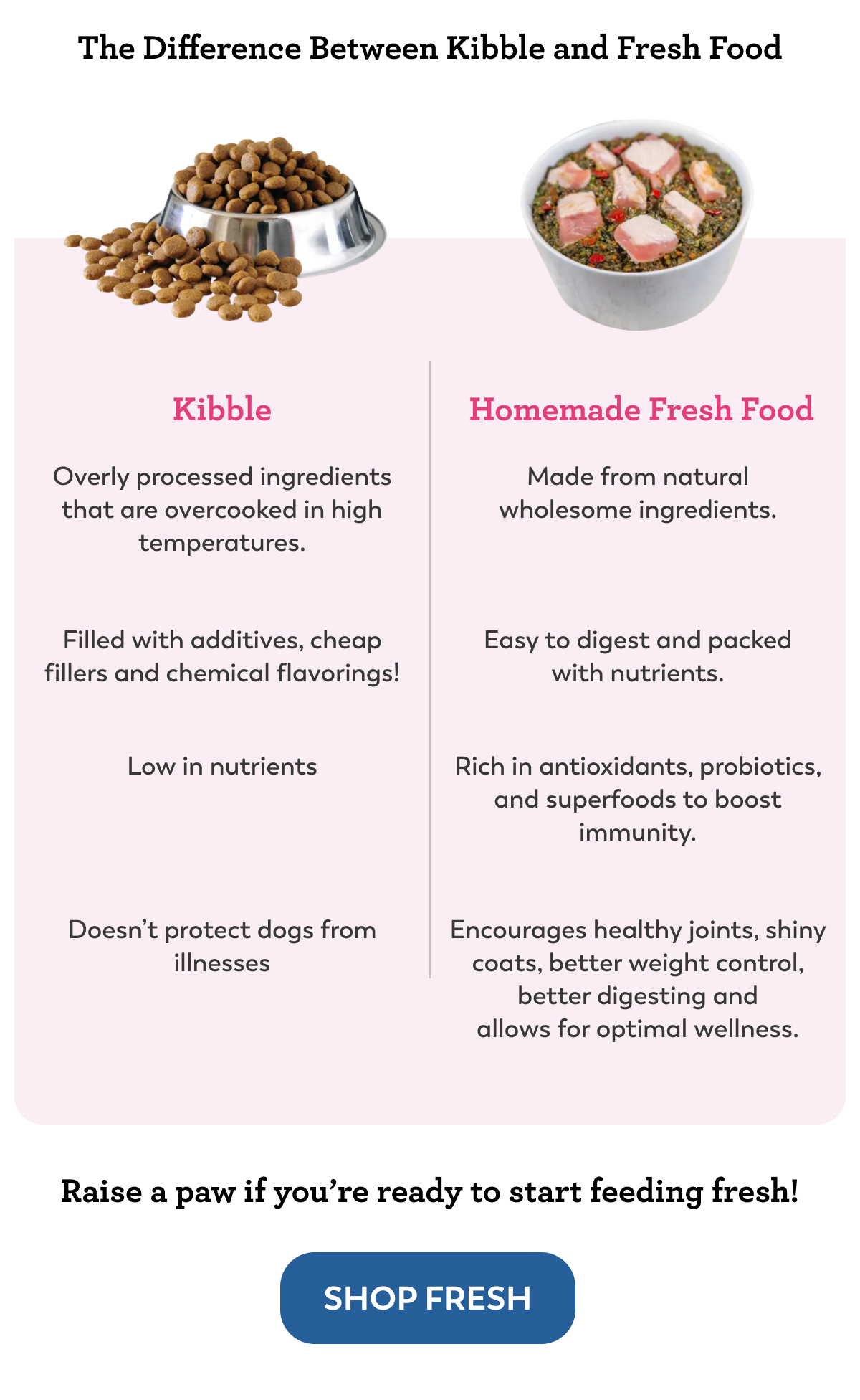 Kibble vs. Fresh What’s Best? Dr. Harveys