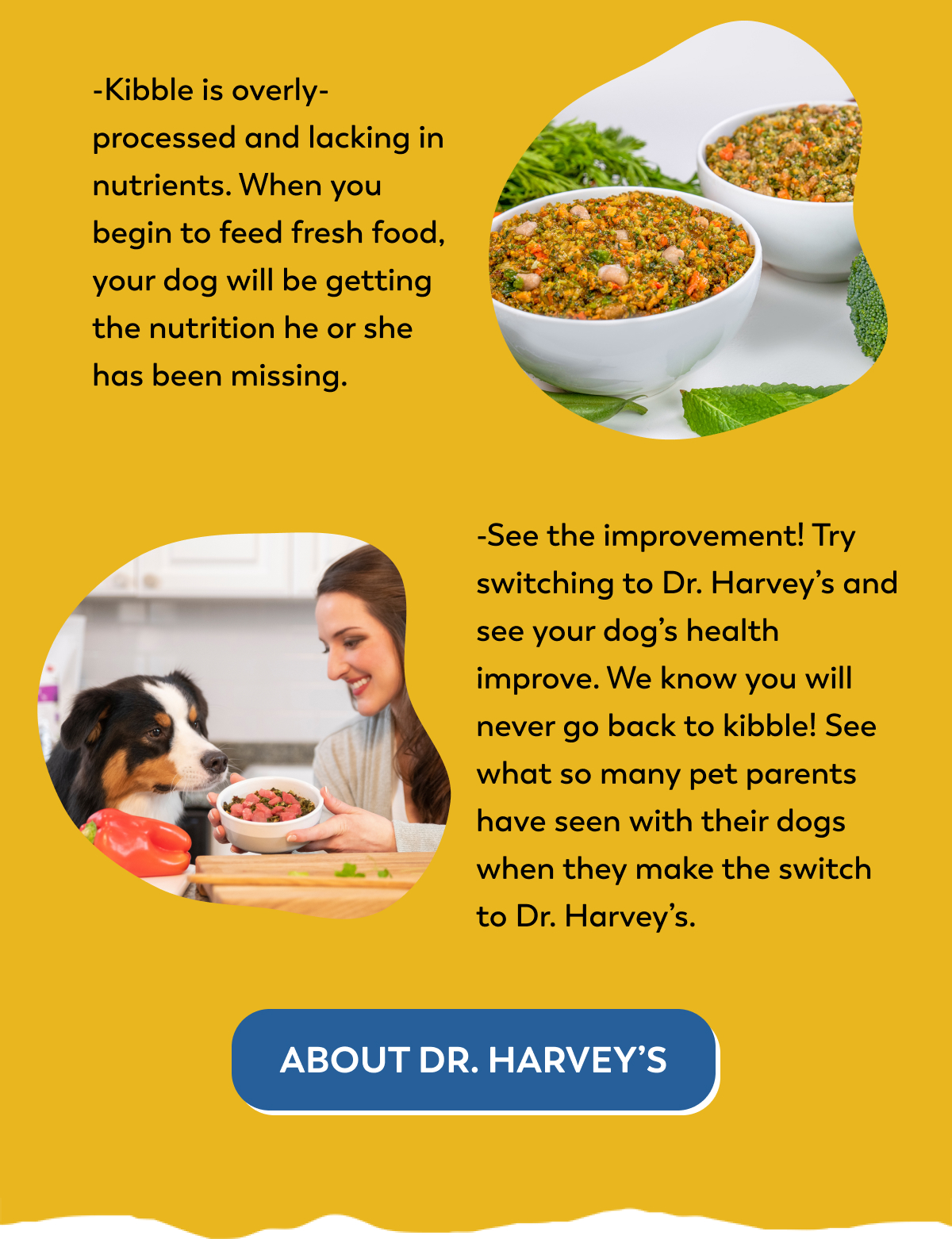 Kibble vs. Fresh What’s Best? Dr. Harveys