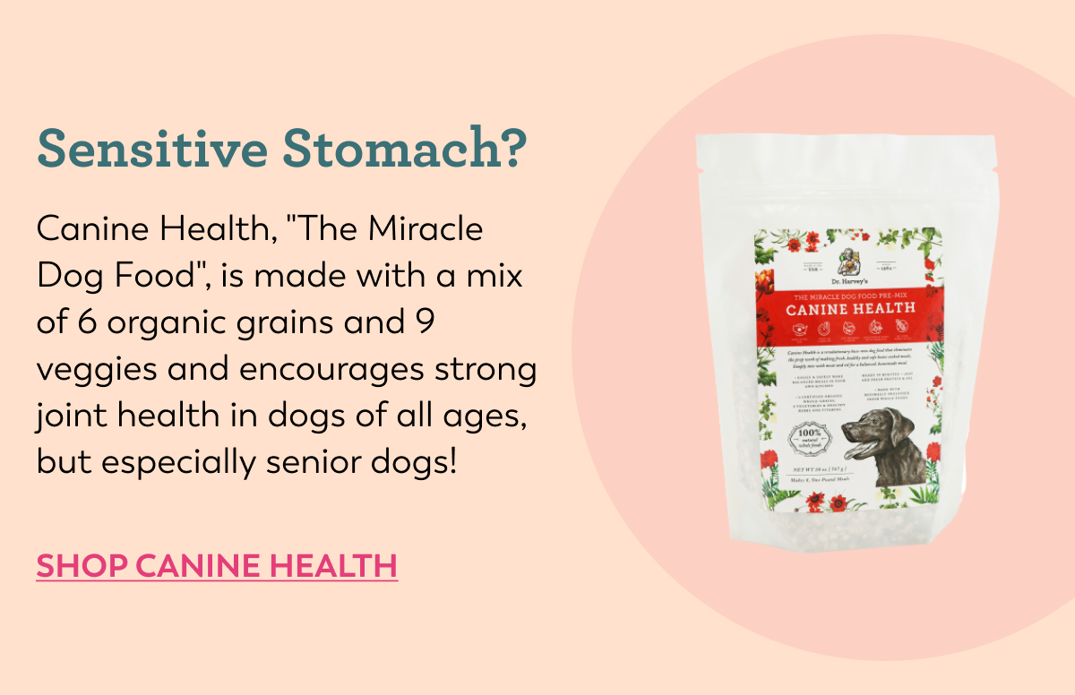 Meet your dog’s perfect match Dr. Harveys