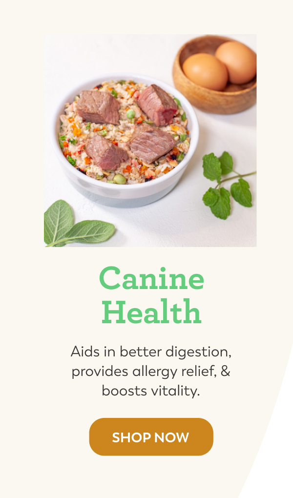 What makes Dr. Harvey’s special? Dr. Harveys