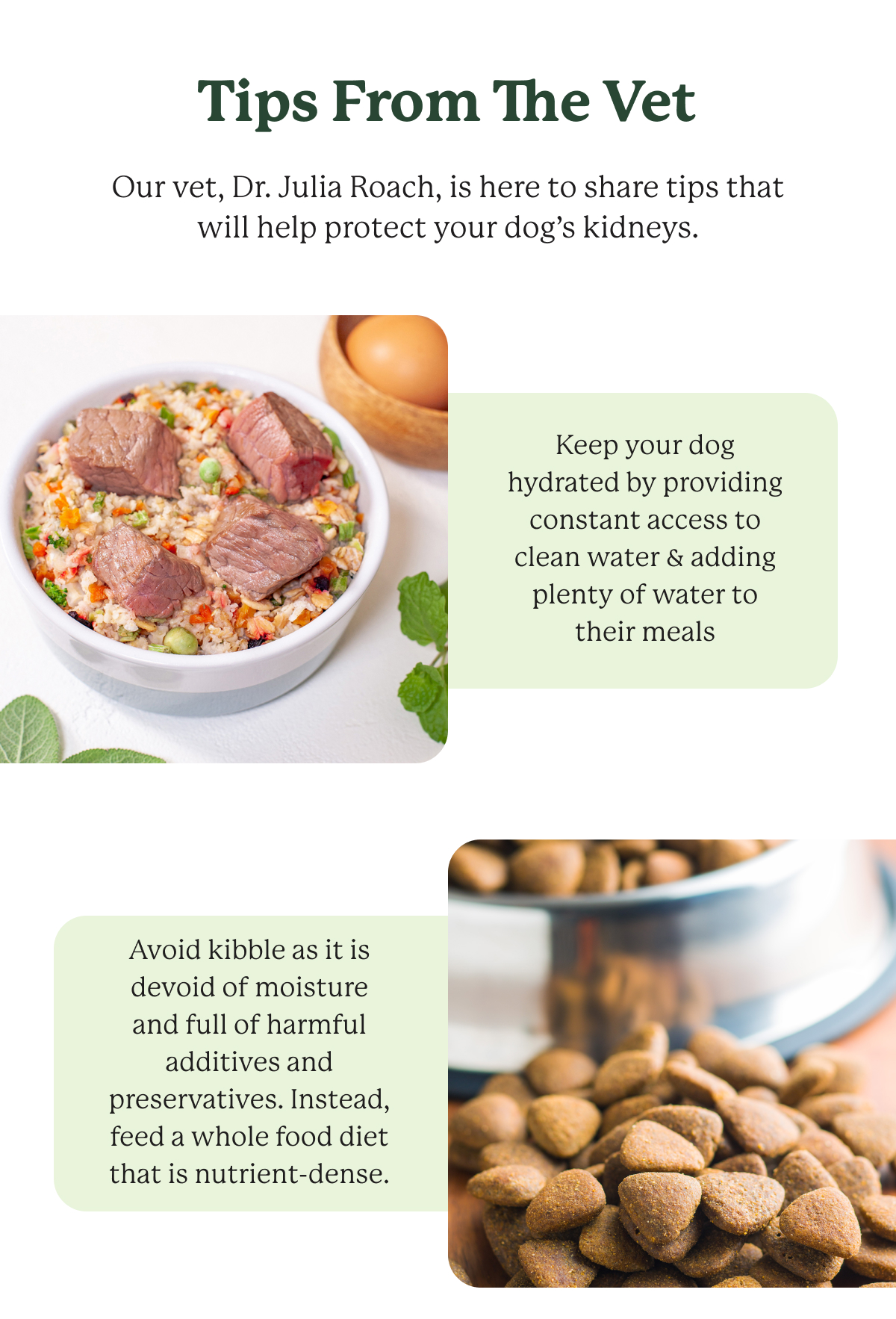 Kidney health and your pup 👇 Dr. Harveys