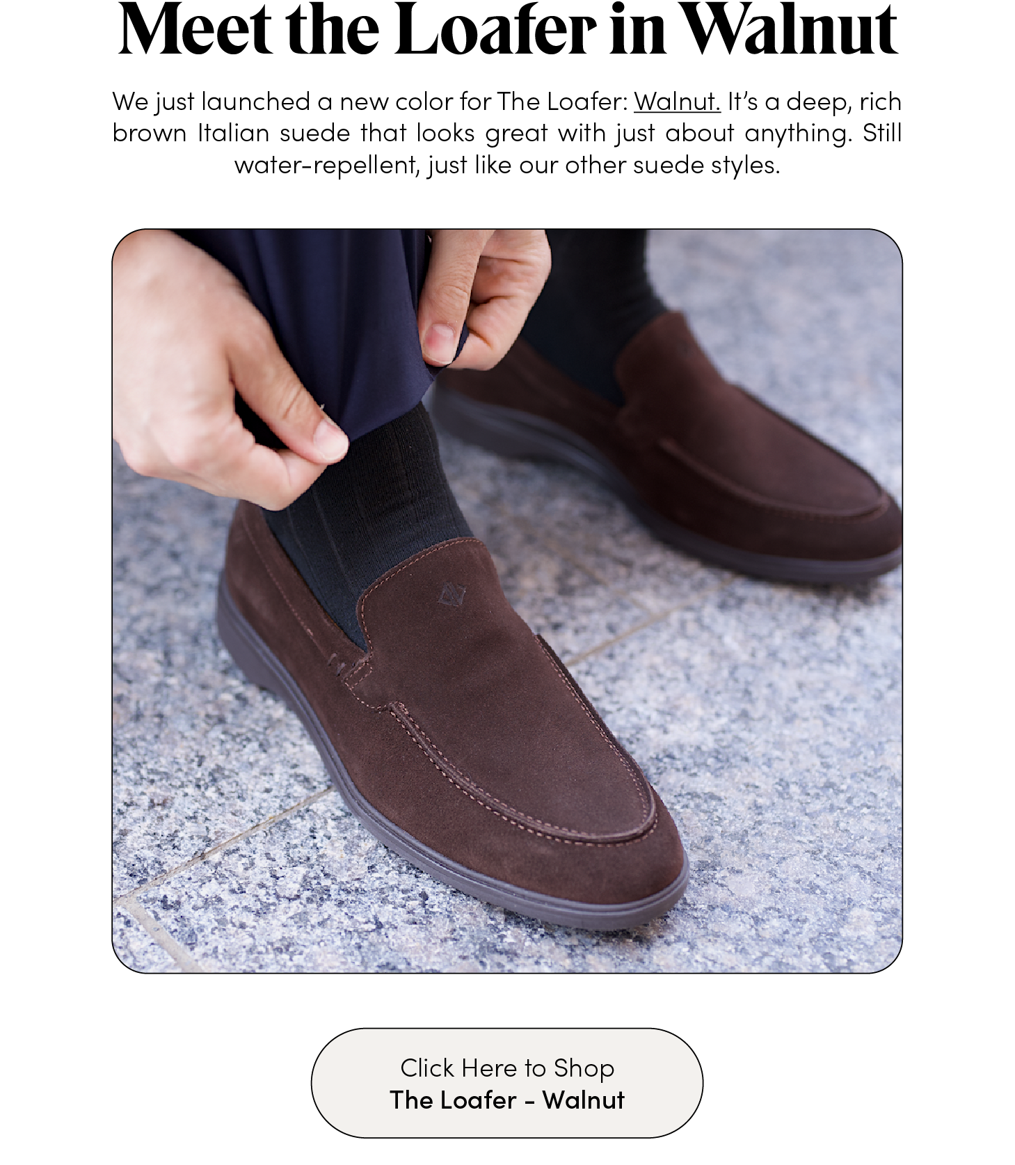 Amberjack - Meet The Loafer in Walnut