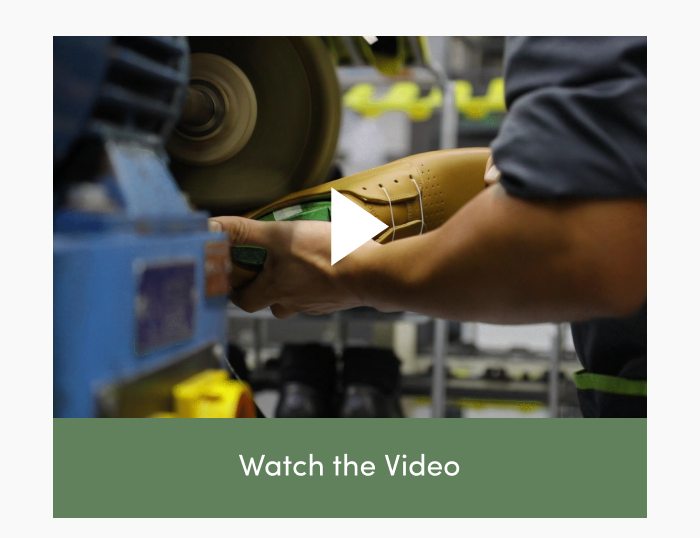 Watch the Video