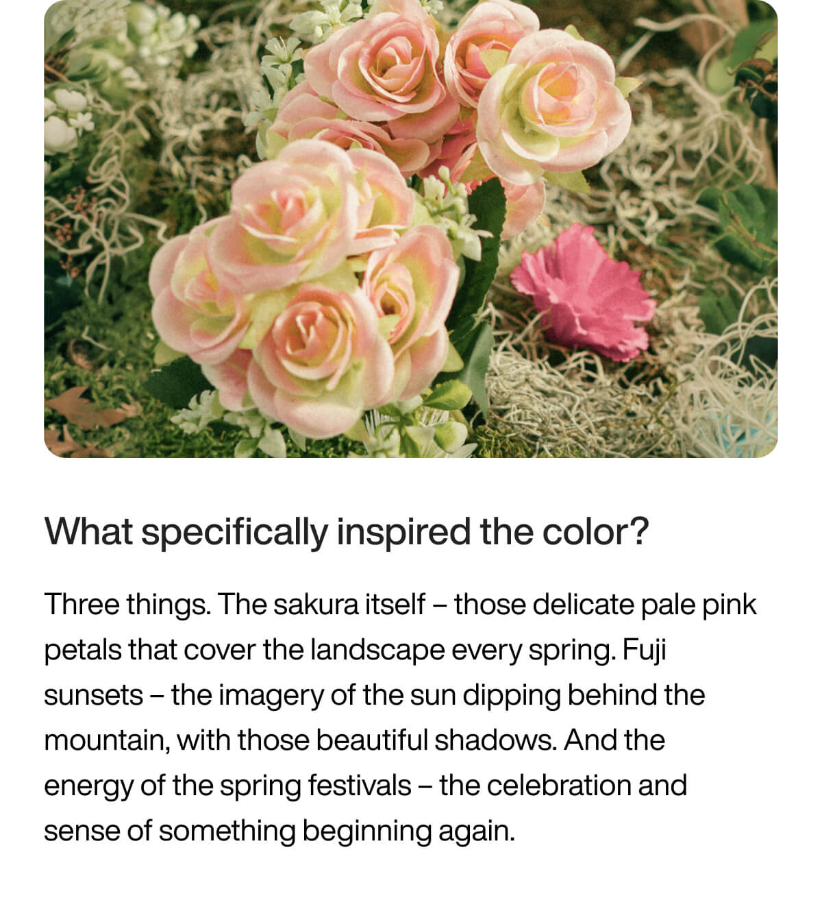 A cluster of pale pink and white roses with greenery, set against earthy moss. The scene feels delicate and serene, evoking a sense of spring.