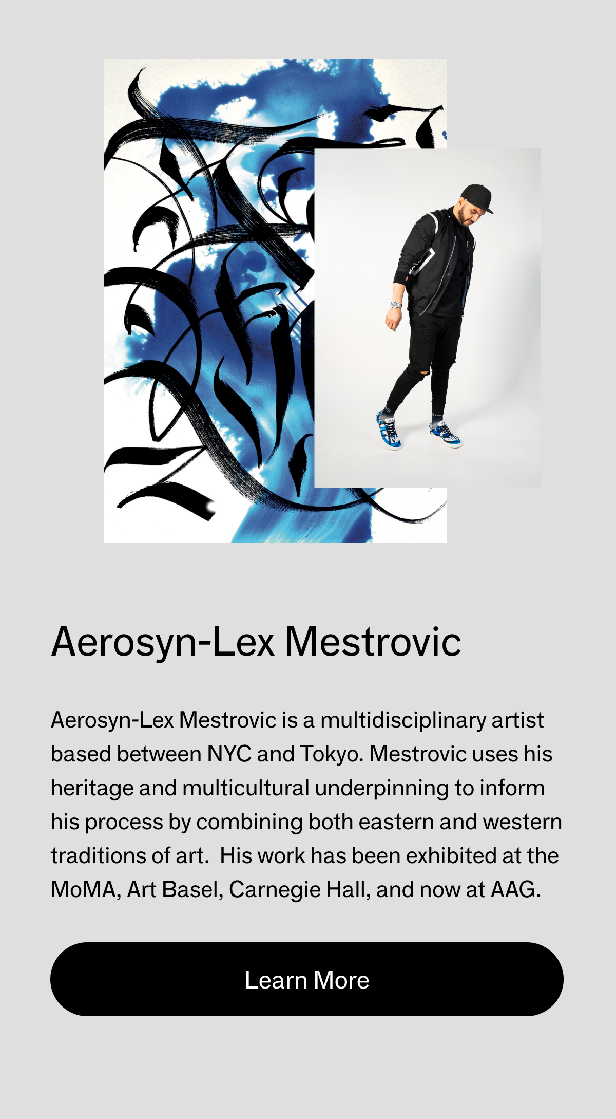Aerosyn-Lex Mestrovic. Aerosyn-Lex Mestrovic is a multidisciplinary artist based between NYC and Tokyo. Mestrovic uses his heritage and multicultural underpinning to inform his process by combining both eastern and western traditions of art. His work has been exhibited at the MoMA, Art Basel, Carnegie Hall, and now at AAG.