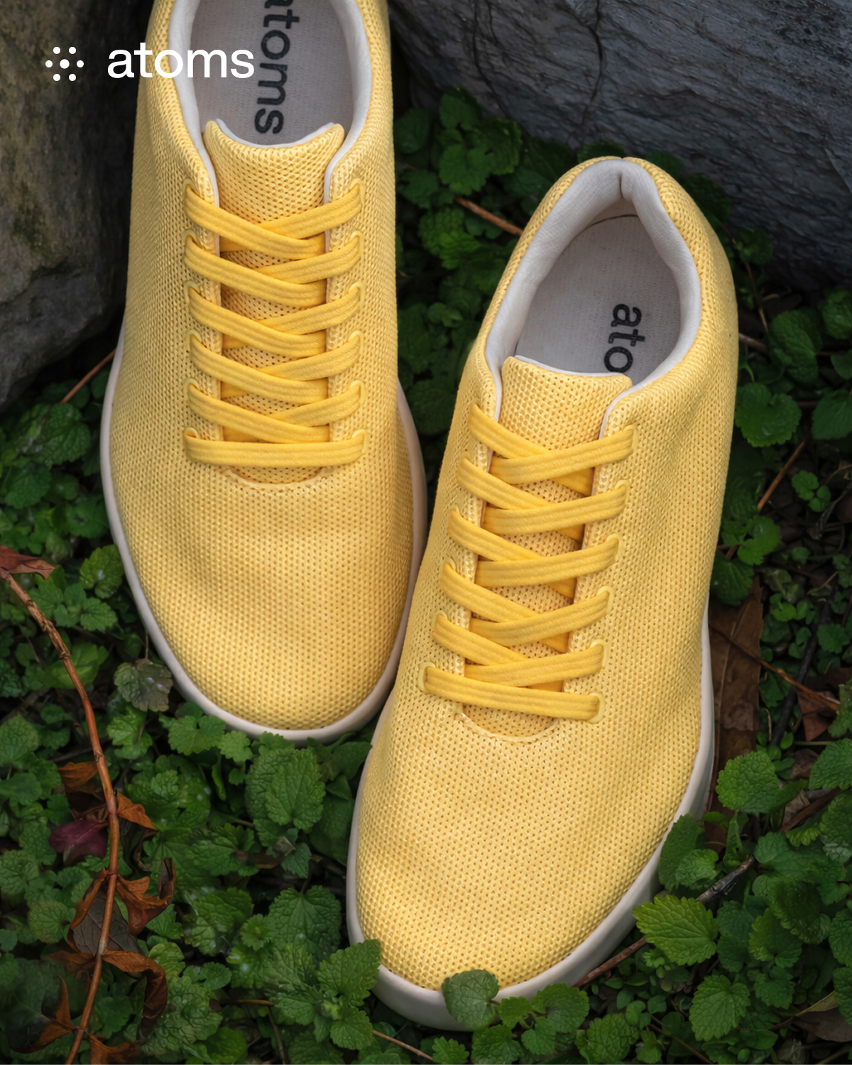 Atoms Model 000 Sunflower Yellow