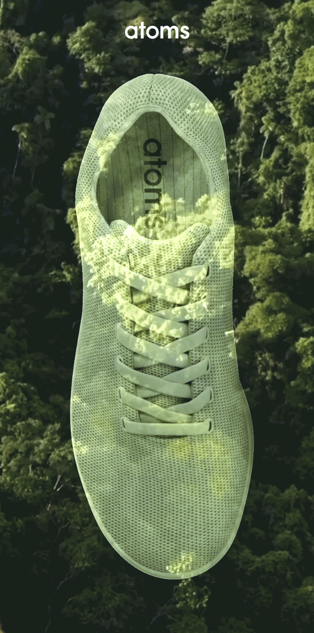 Atoms Limited Edition Holiday Color Gif