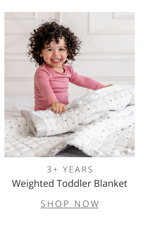 Weighted Toddler Blanket