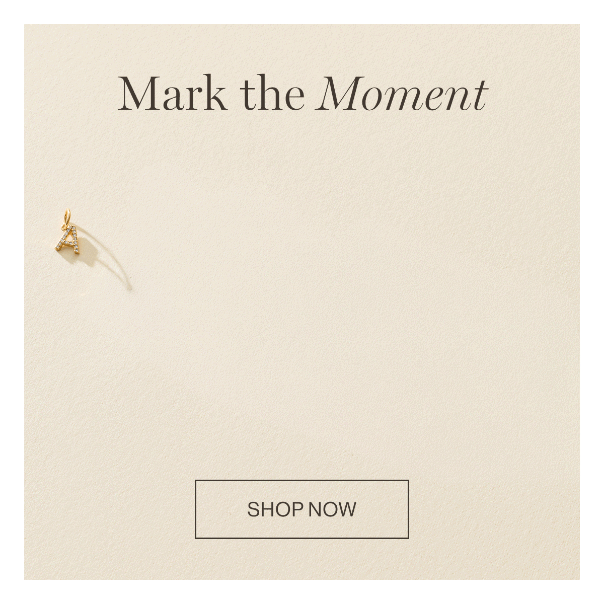 SHOP NOW