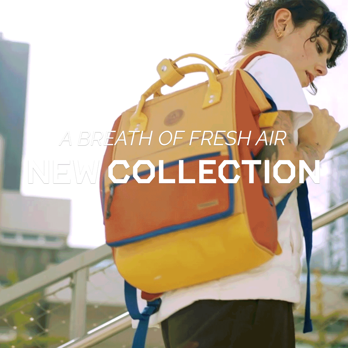 New Collection
