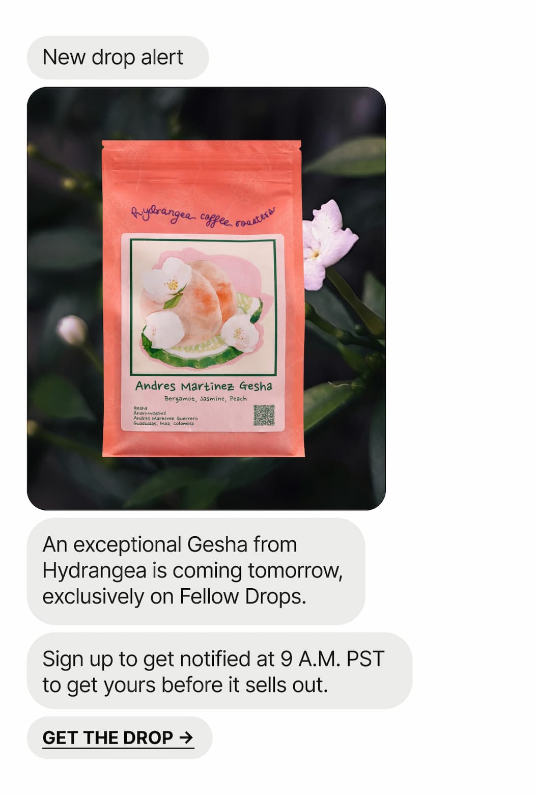 New Drop Alert: An exceptional Gesha from Hydrangea, coming tomorrow on Fellow Drops