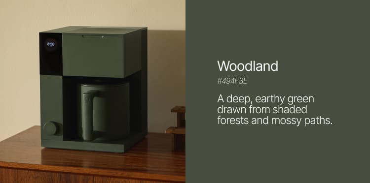 Woodland: A deep, earthy green drawn from shaded forests and mossy paths.