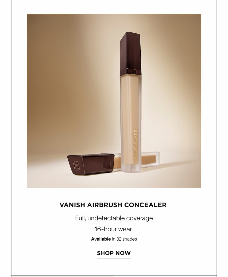 Vanish Airbrush Concealer