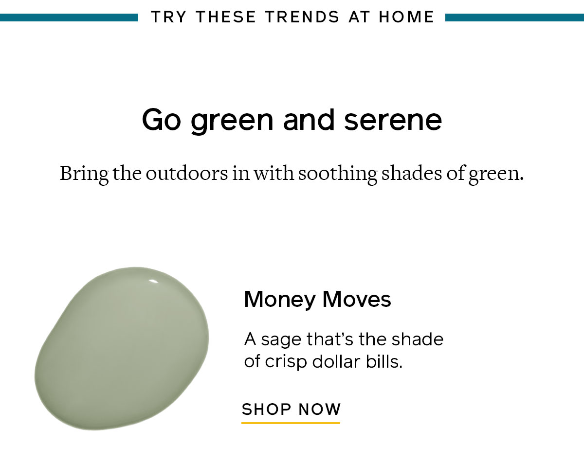 Bring the outdoors in with soothing shades of green. Money Moves is a sage the shade of crisp dollar bills. 