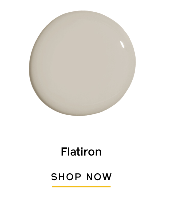 Flatiron SHOP NOW