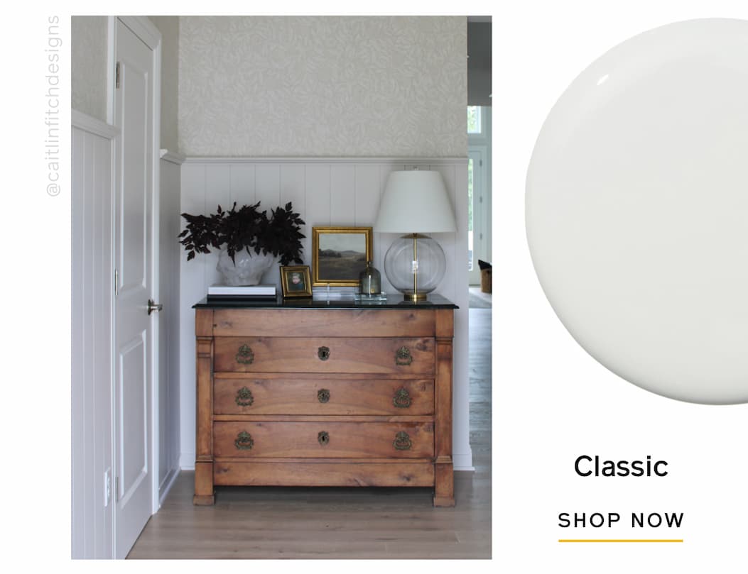 Entryway painted in Classic