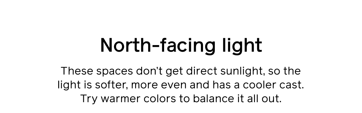 North-facing light. These spaces don’t get direct sunlight, so the light is softer, more even and has a cooler cast. Try warmer colors to balance it all out.