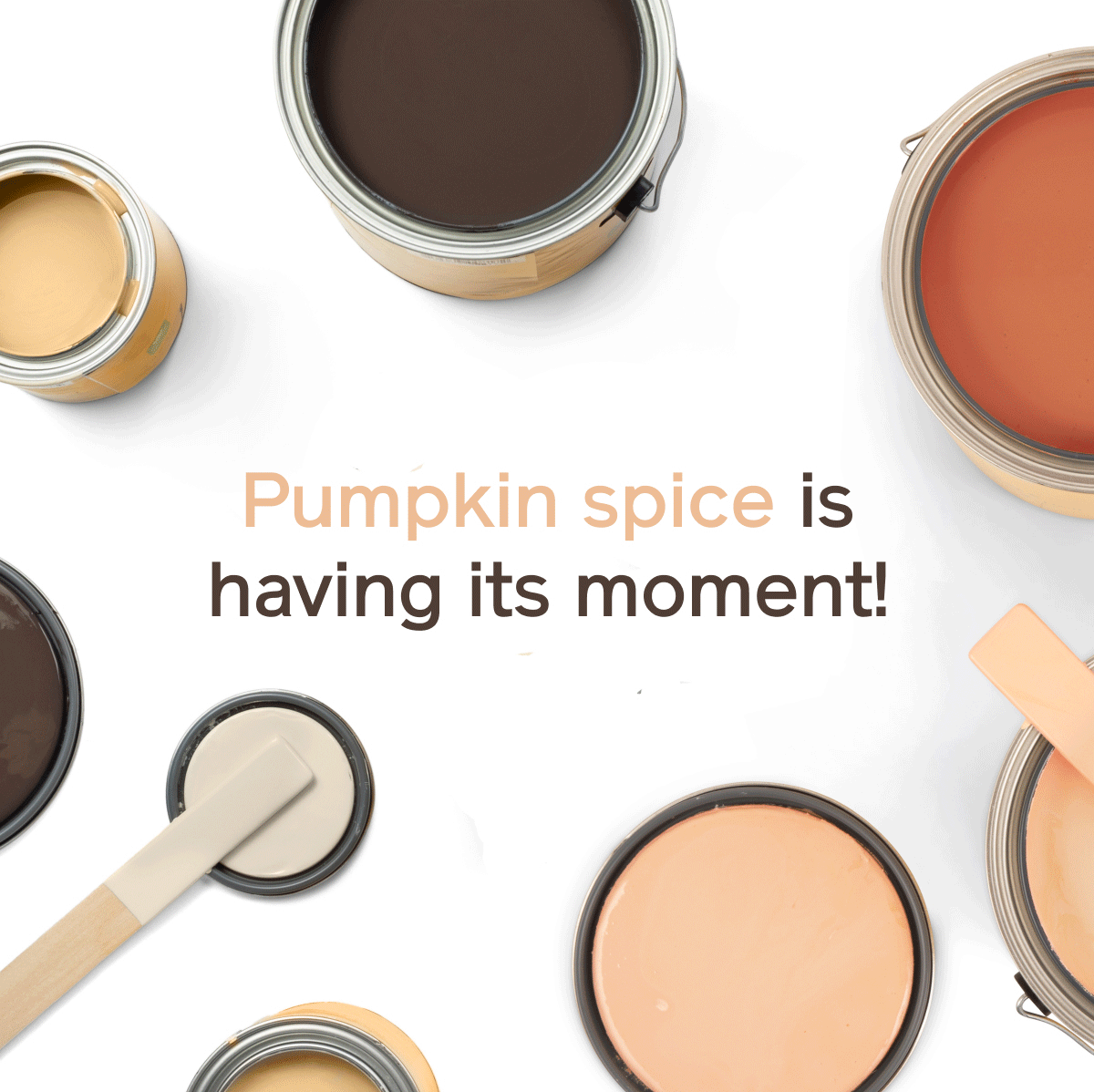 Pumpkin spice is having its moment!