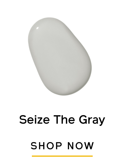 Shop Seize The Gray. Shop Now