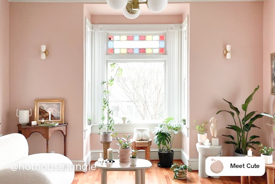 Room featuring Meet Cute