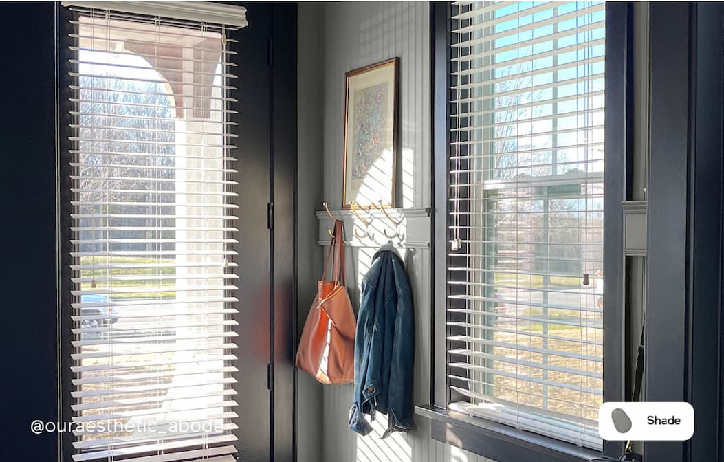 Entryway painted with Shade