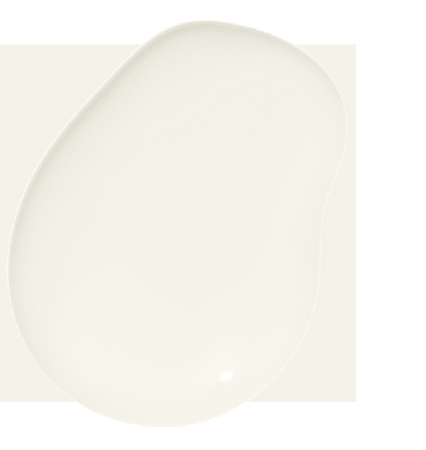 Timeless paint color Timeless paint color