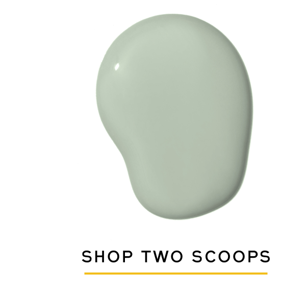 Shop Two Scoops