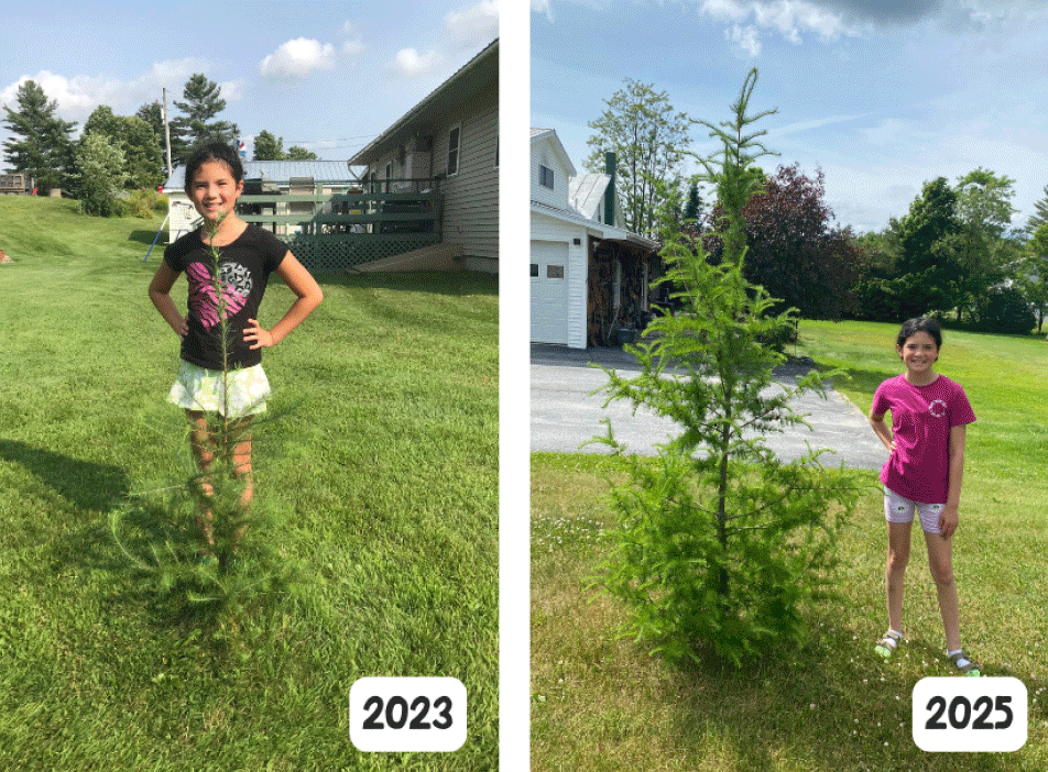Neighborhood Forest pictures featuring children growing alongside their trees