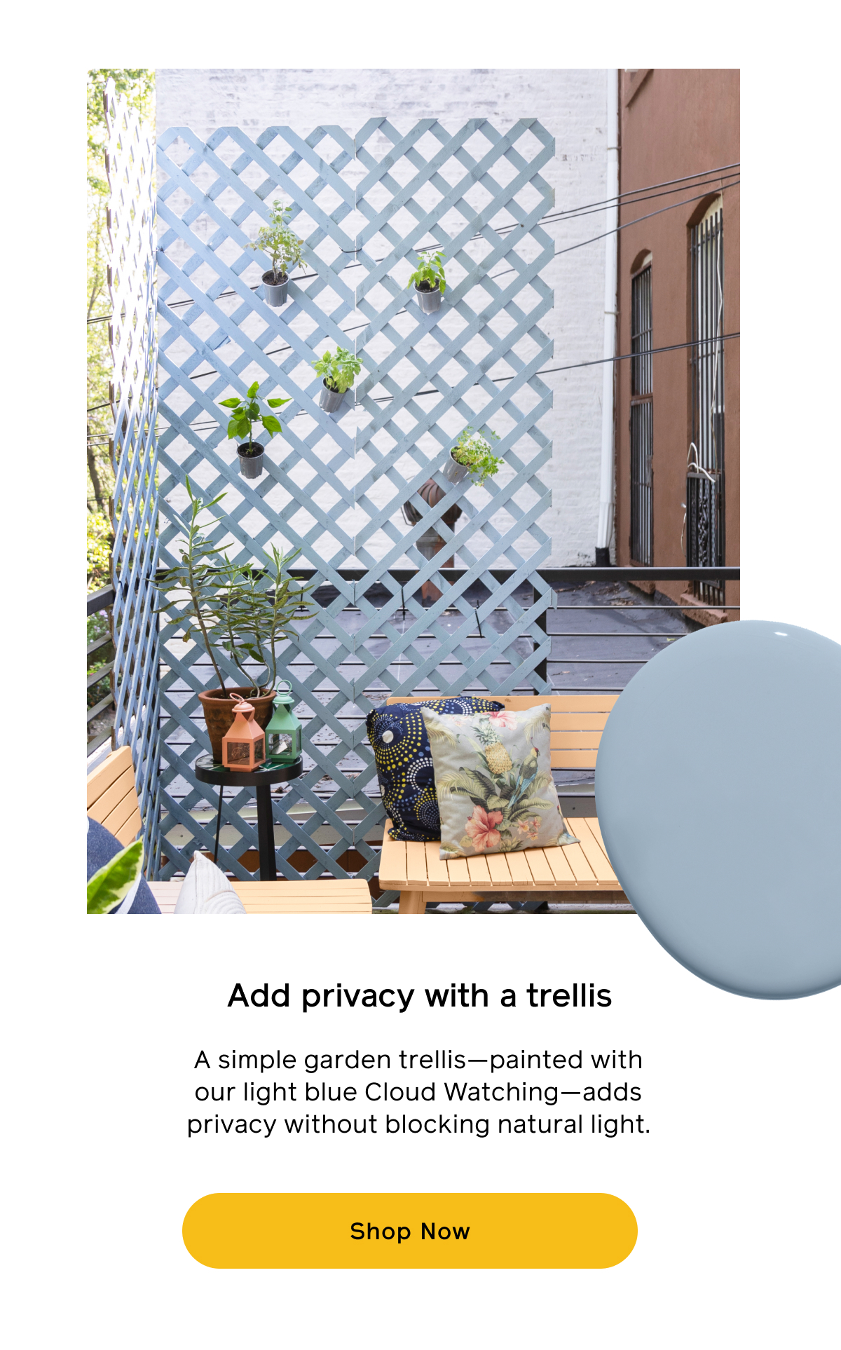 Add privacy with a trellis A simple garden trellis—painted with our light blue Cloud Watching—adds privacy without blocking natural light. Shop Now