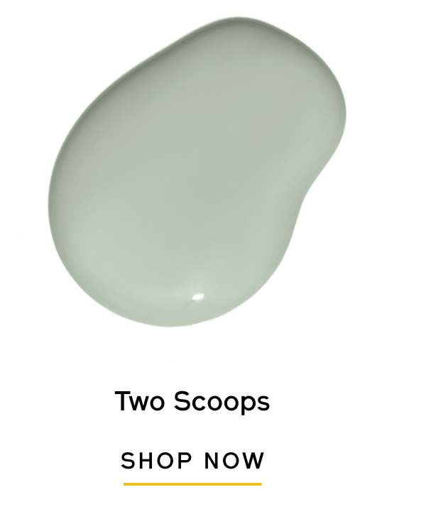 Two Scoops SHOP NOW
