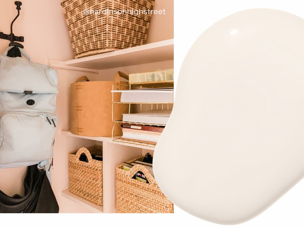 Closet painted in Wing It