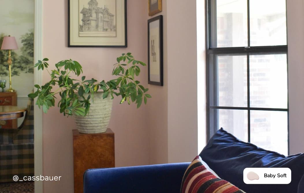 Living room painted in Baby Soft Living room painted in Baby Soft