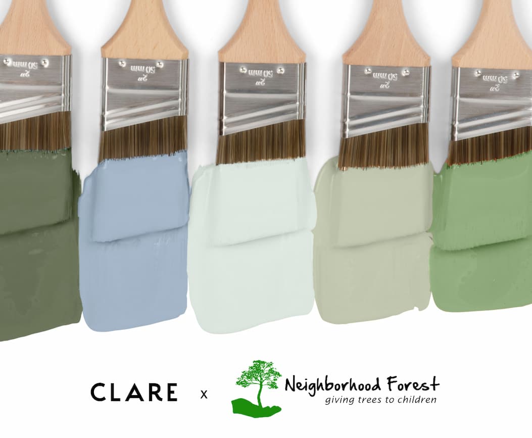 Clare x Neighborhood Forest