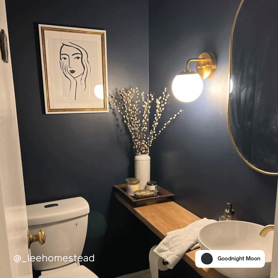 Bathroom before and after featuring Goodnight Moon