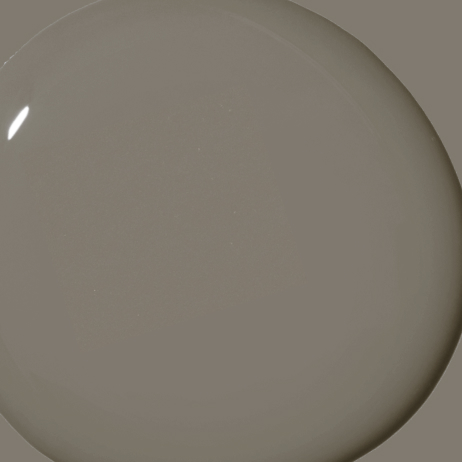 Dirty Chai paint color