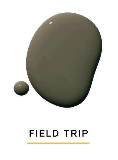 FIELD TRIP FIELD TRIP