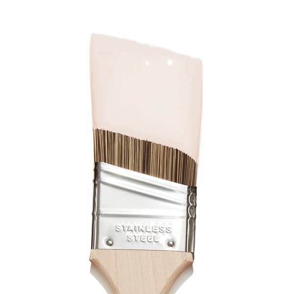 Wing It paint color blob