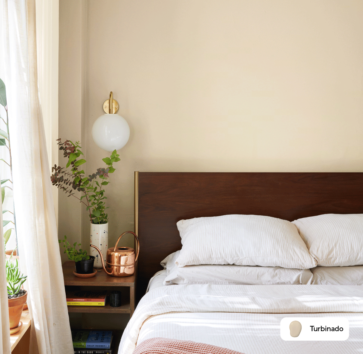 Gif of Clare painted spaces featuring Blue'd Up, Turbinado and Classic