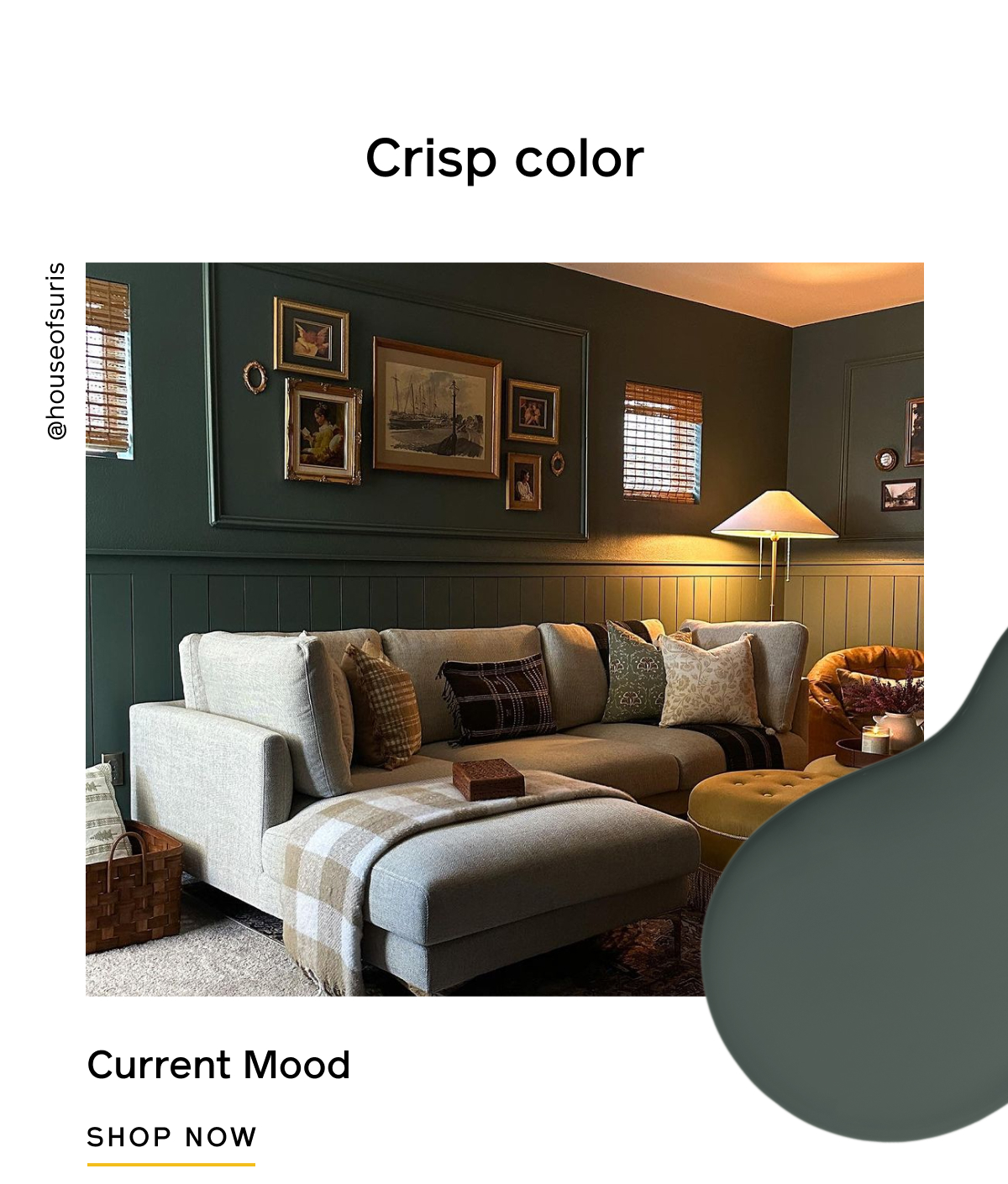 Crisp color. Current Mood. Shop Now