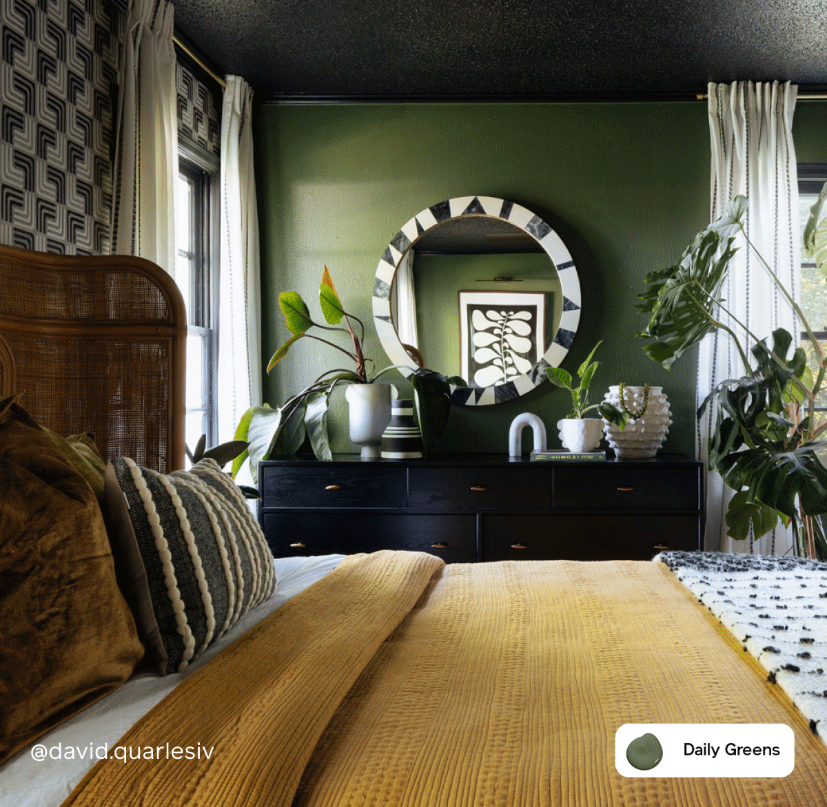 Gif of Clare painted spaces featuring Daily Greens, Coffee Date and Blackish