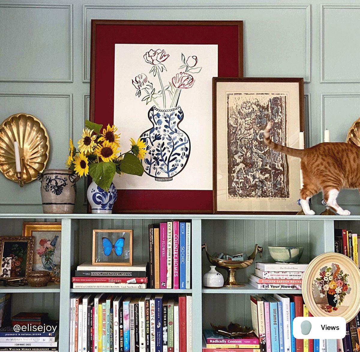 Gif of Clare painted spaces featuring Views, Pop, Daily Greens and Blackish