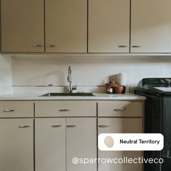 Neutral Territory laundry room