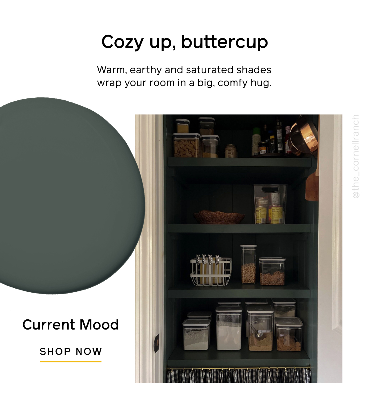 Cozy up, buttercup. Warm, earthy and saturated shades wrap your room in a big, comfy hug. Current Mood SHOP NOW