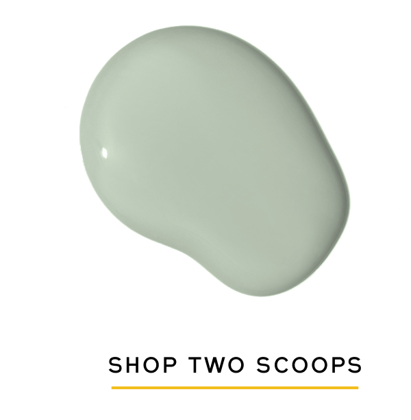 SHOP TWO SCOOPS